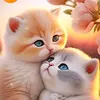 الامام حسين - @marcusskiles745 - TikTok