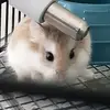 Marcus Soto - @marcus.soto6 - TikTok