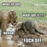 Marcus Stafford - @humor_cures_all - Instagram