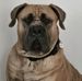 Marcus Stallworth - Facebook