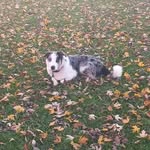 Marcus Stapleton - @marcus_s_22 - Instagram