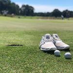 Marcus Staton - @imstatontheobvious - Instagram