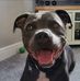 Marcus Stevenson - Facebook