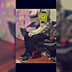 Marcus Stiles - @cheryl.cyr.3 - Instagram