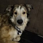 Marcus Stöwer - @marcusstower - Instagram