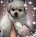ShayandMarcus Stribling - Facebook