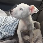 Marcus Stuckey - @marcus.stuckey.92 - Instagram
