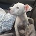 Marcus Stuckey - Facebook