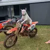 3️⃣2️⃣3️⃣85sx🔥🔥 - @marcus.sutherland4 - TikTok