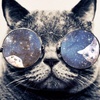 Marcus - @marcussweet - TikTok