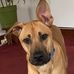 Marcus Tabb Sr. - Facebook