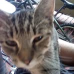 Marcus Tackett - Facebook
