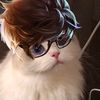 Marcus Tai - @marcustai - TikTok