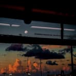 Marcus Tam - Facebook