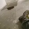 Marcus Teague - @teaguemarcus - TikTok