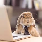 Marcus Teng - @teng.marcus - Instagram