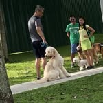 Marcus Teng - @mwrcustengz - Instagram