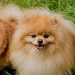 Marcus Teoh - @mmmarcusssss - Instagram
