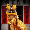 文明学校舞狮队队员 - @marcusteoh11 - TikTok