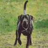 Marcus Theis - @marcus.theis7 - TikTok