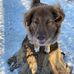 Mark Therrien - Facebook
