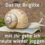 Marcus Thies - @amschagar - Instagram