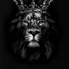 Marcus Thomson - @marcus.thomson37 - TikTok