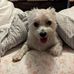 Marcus Thorne - Facebook
