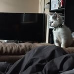 Sgt. Marcus Aurelius Tibbs - @sgt.tibbs_ - Instagram