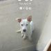 Marcus Travis - Facebook