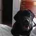 Mark Treadwell - Facebook