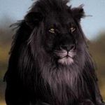 @marcustrotter_ - Instagram