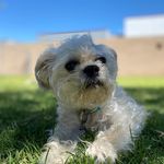 Marcus Varner - @marcvarner - Instagram