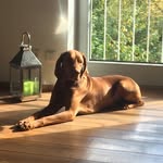 Marcus Vogel - @mvogel1234 - Instagram