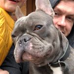 Marcus Vogt - @vogt.marcus - Instagram