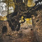Markus Volz - Facebook
