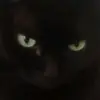 Daemonico - @marcusclausvoss - TikTok