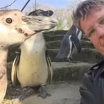 Marcus Voss - @vossibaer1976 - Instagram