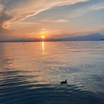 Marcus Walser - @marcus_walser - Instagram