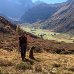 Markus Walser - @walser_markus - Instagram