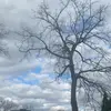 Marcus - @marcus.walzz - TikTok