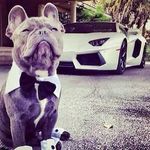 Marcus Waters - @marcusplayzgamez - Instagram