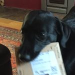 Marcus Webb - @marcuswebb2 - Instagram