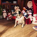 Marcus Webber - @maggiecute23 - Instagram