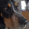 Marcus Webber - @marcuswebber - TikTok
