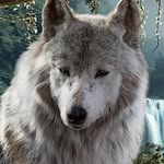 Marcus Wenzel - @marcus_wenzel_555 - Instagram