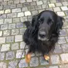 Marcus Wetzel837 - @macwet8 - TikTok