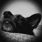 Marcus Whelan - Facebook