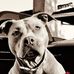 Marcus Wichmann - Facebook