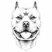 Marcus Wichmann - Facebook